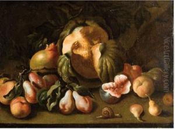 Bodegon De Frutas Y Caracol Oil Painting by Giovanni Paolo Castelli Spadino