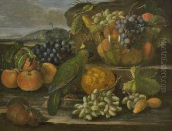 Fruchtestillleben Mit Papagei. Oil Painting by Giovanni Paolo Castelli Spadino