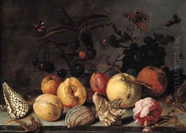 Fruit and shells, with butterflies, a dragonfly, a lizard, a snail and a fly on a stone ledge Oil Painting by Balthasar Van Der Ast