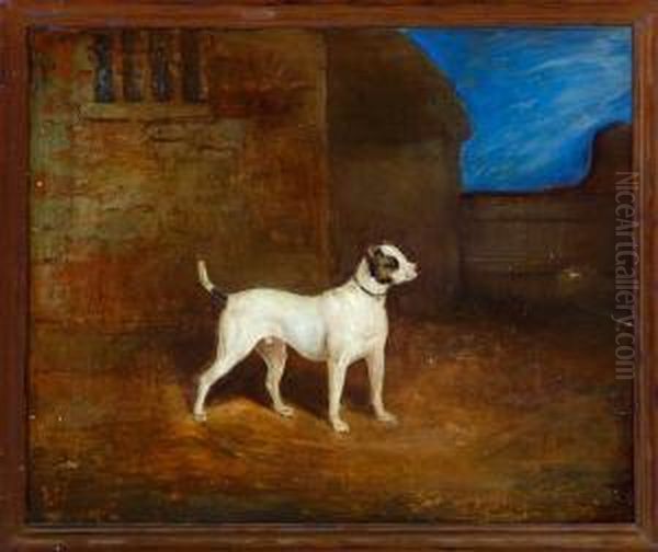 Viper, A Bull-terrier Oil Painting by Charles Bilger Spalding