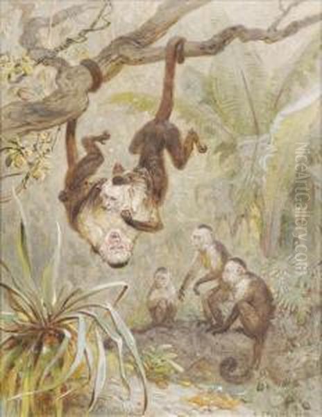 Monkeys At Play Oil Painting by Ernst Christian Specht