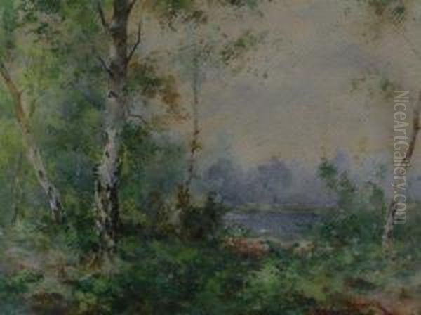 A Copse Of Silver Birches By A Pond Oil Painting by Frank Spenlove Spenlove