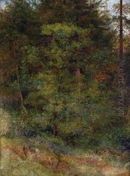 Waldstuck Mit Rot Bluhendem Busch Im Vordergrund Oil Painting by Johann Sperl