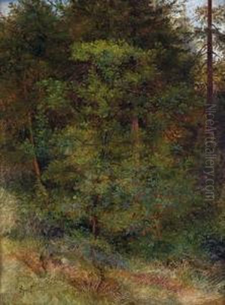 Waldstuck Mit Rotbluhendem Busch Im Vordergrund Oil Painting by Johann Sperl