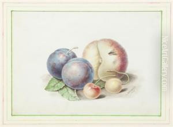 Still Life With Plum, Cherries And Peach Oil Painting by Luca Spinelli