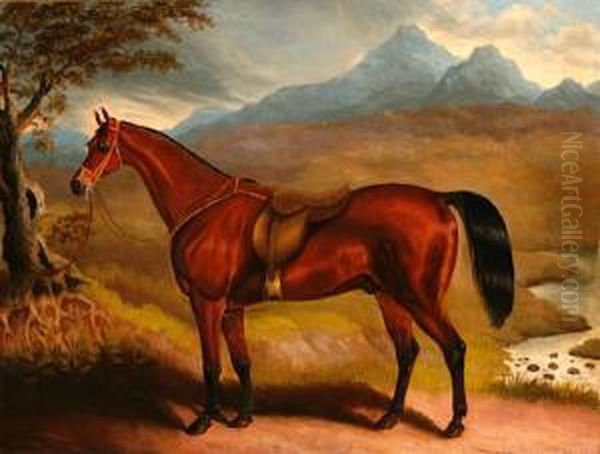 A Portrait Of T.e. Freeman's Samron Oil Painting by Samuel Spode