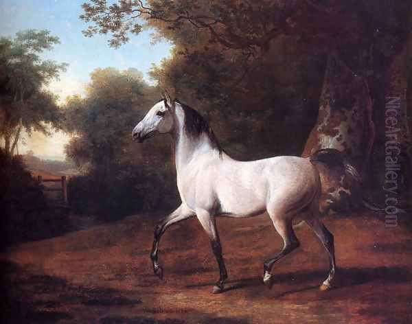 A Grey Arab Stallion In A Wooded Landscape Oil Painting by Jacques Laurent Agasse