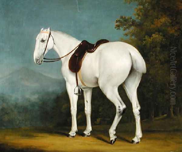 A Ladys Grey Hunter Oil Painting by Jacques Laurent Agasse