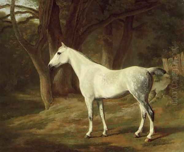 A grey hunter in a wooded landscape Oil Painting by Jacques Laurent Agasse