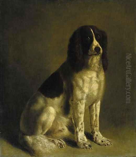 A springer spaniel Oil Painting by Jacques Laurent Agasse