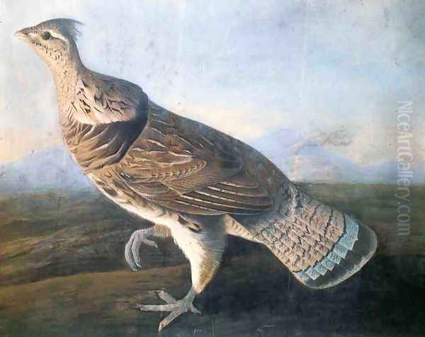 Ruffed Grouse Oil Painting by John James Audubon