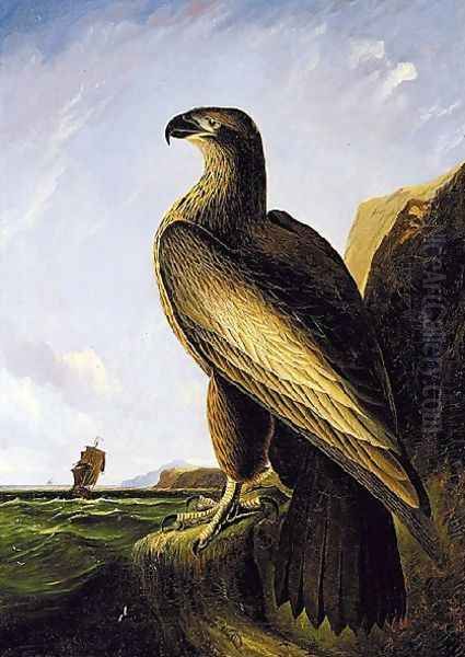 Washington Sea Eagle Oil Painting by John James Audubon