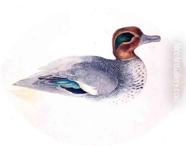 Green Winged Teal Oil Painting by John James Audubon