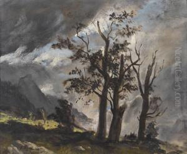 Ahorne Nach Dem Sturm Oil Painting by Balthasar, Balz Stager