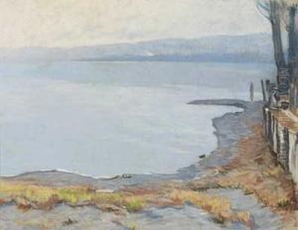 Blick Auf Eine Bucht Oil Painting by Albert Stagura