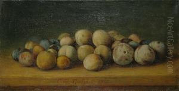 Prune Pemarginea Mesei Oil Painting by C.D. Stahi