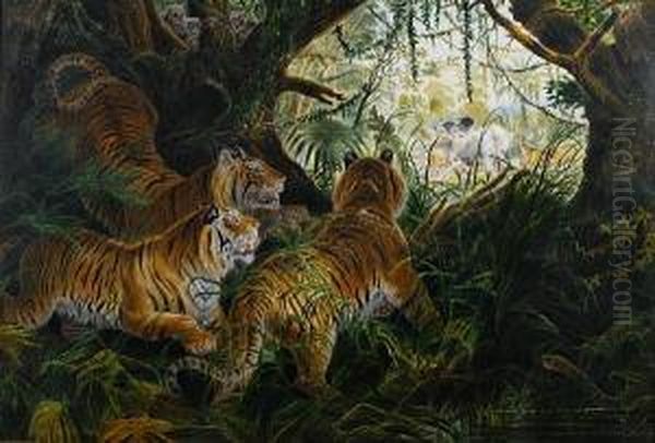 Tigers On The Prowl Oil Painting by P H Staines