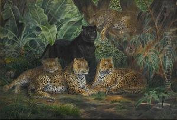 Leopards At Rest Oil Painting by P H Staines