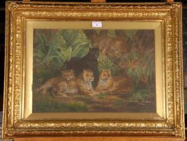 Jungle Cats At Rest Oil Painting by P H Staines