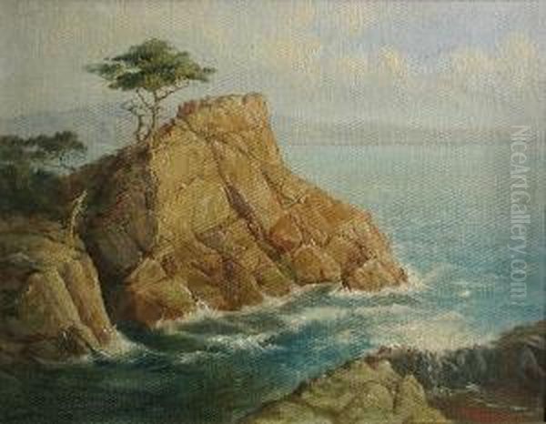 The Lone Cypress Oil Painting by Frank B. Standish