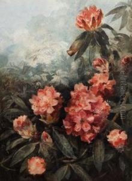 Study Of Rhododendrons Oil Painting by Eloise Harriet Stannard