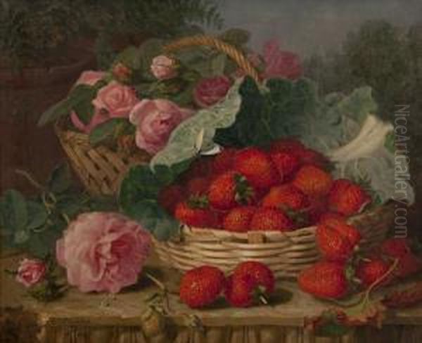 Still Life Of Strawberries, Roses, Cabbage Leaf And Butterfly On A Limestone Ledge Oil Painting by Eloise Harriet Stannard