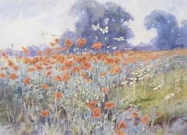 Poppy Field Withbutterflies Oil Painting by Lilian Stannard