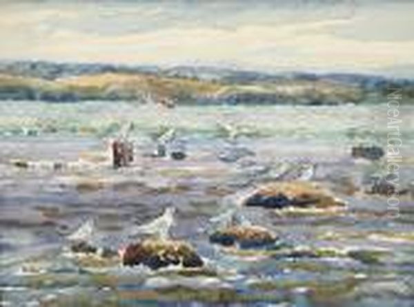 A View Of Seagulls From The Shoreline Oil Painting by Owen B. Staples