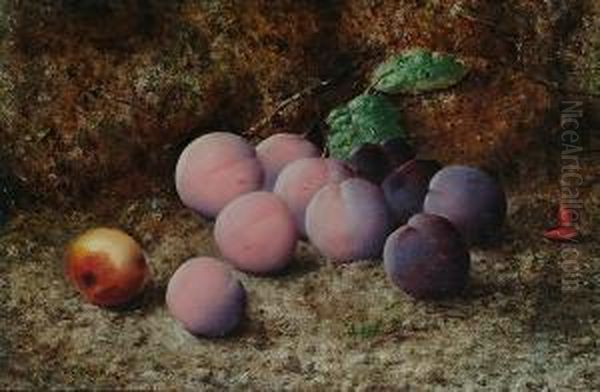 Still Life Of Plums On A Mossy Bank Oil Painting by William Henry Starkey