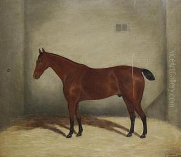 A Bay Horse In A Stable Oil Painting by S.G. Stearn