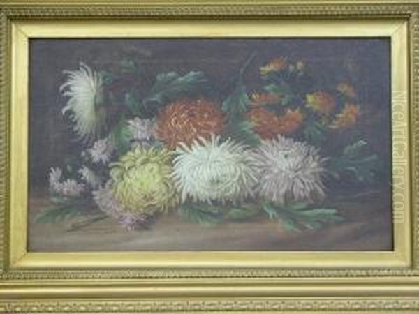 Still Life Studies Of Flowers Oil Painting by Edwin Steele