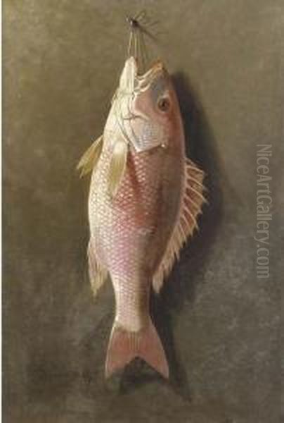 Still Life Of Red Snapper Oil Painting by Thomas Sedgewick Steele