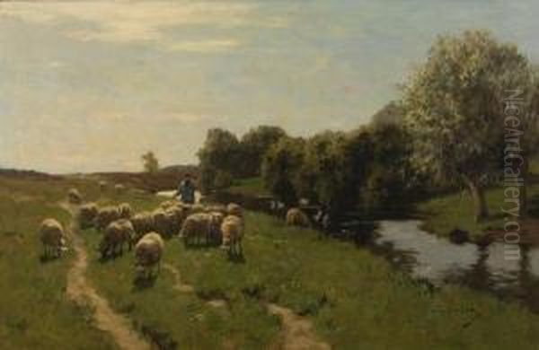 Sheep Grazing Beside A River Oil Painting by Willem Steelink