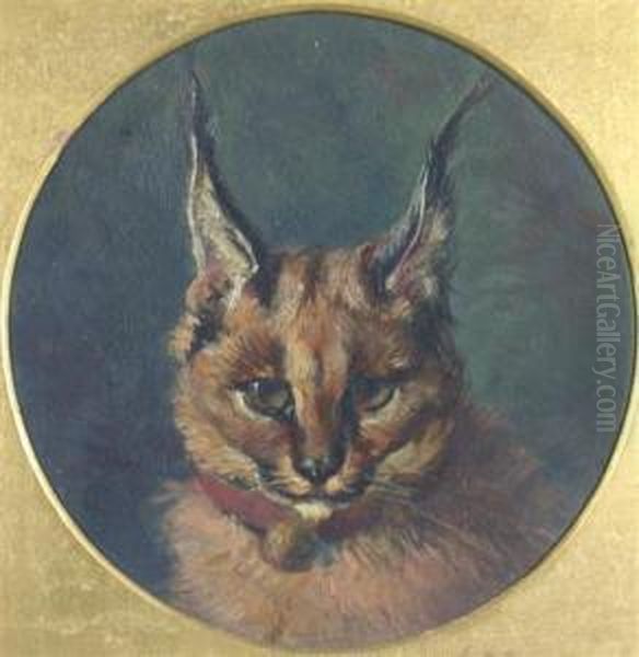 Young Wild Cat Oil Painting by David George Steell