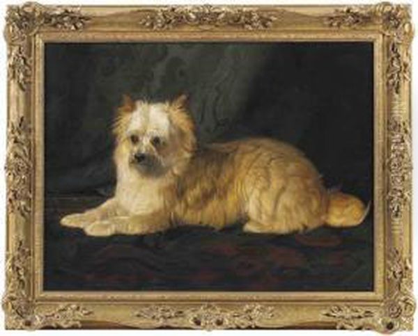 A Norfolk Terrier Oil Painting by Gourlay Steell