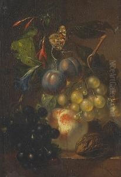 A Still Life With Grapes, A Peach, Plums And Walnuts On A Ledge With A Butterfly Above Oil Painting by Albertus Steenbergen