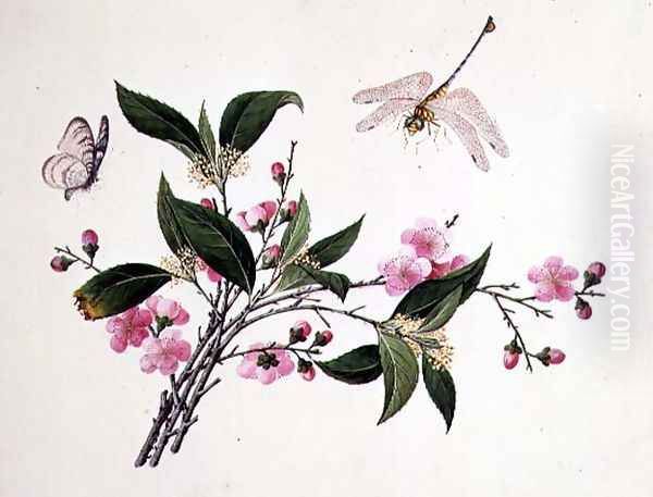 Cherry Blossom, Dragonfly and Butterfly Oil Painting by Anonymous Artist