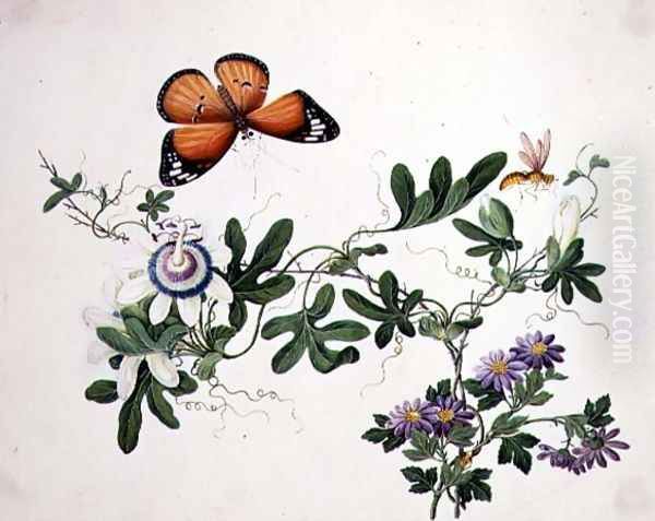 Passion Flower and Butterfly Oil Painting by Anonymous Artist