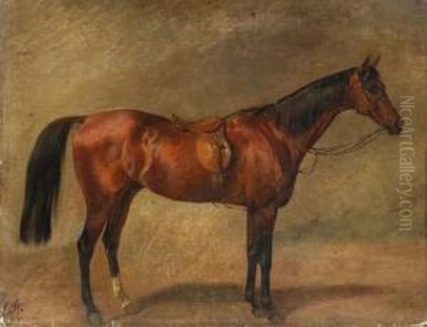 Picture Of A Horse Oil Painting by Carl Constantin Steffeck