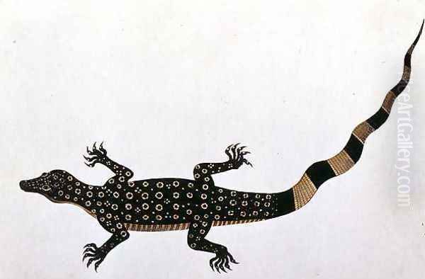 Guana, Bie awa Tana, from 'Drawings of Animals, Insects and Reptiles from Malacca', c.1805-18 Oil Painting by Anonymous Artist