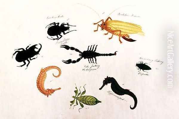 Koombang Kerbo, Bielalan Dawon, Kala Jinking, Koombang Padang, Hippocampus, from 'Drawings of Animals, Insects and Reptiles from Malacca', c.1805-18 Oil Painting by Anonymous Artist