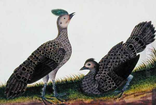 A Cock and Hen Kooaw Chirmin from 'Drawings of Birds from Malacca', c.1805-18 Oil Painting by Anonymous Artist