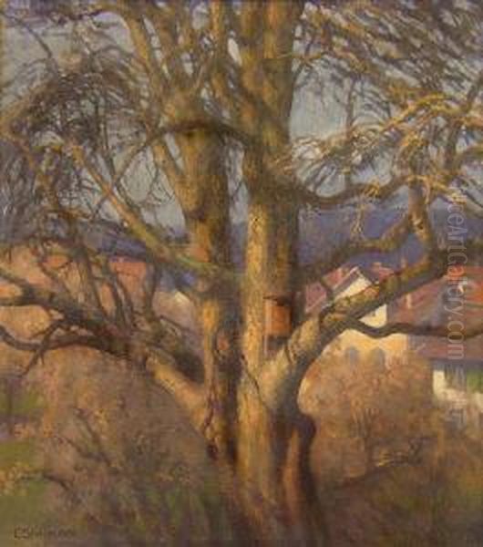 Baum Vor Hausergruppe Oil Painting by Johann Conrad Steinmann