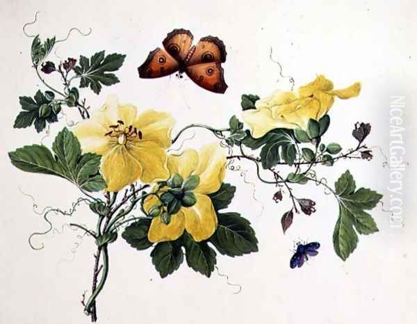 Flower Study and Butterfly Oil Painting by Anonymous Artist