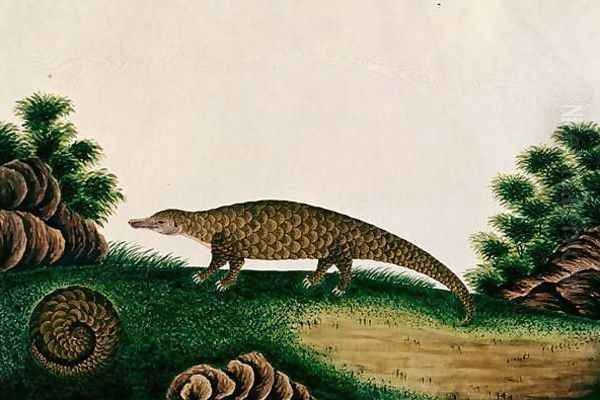 The Pangolin of Malacca, Tingieling (Malay) from 'Drawings of Animals, Insects and Reptiles from Malacca', c.1805-18 Oil Painting by Anonymous Artist