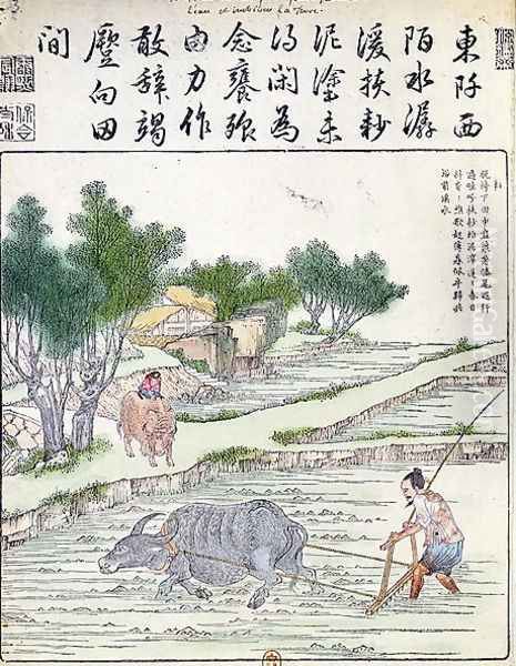 Rice cultivation in China (2) Oil Painting by Anonymous Artist