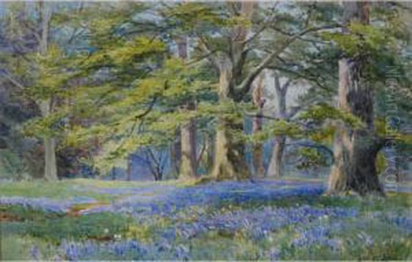 The Bluebell Wood Oil Painting by Albert Stevens