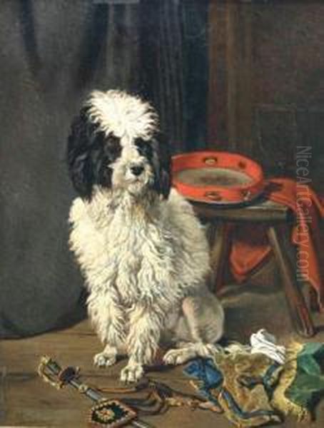 Caniche Au Tambourin. Oil Painting by Joseph Edouard Stevens