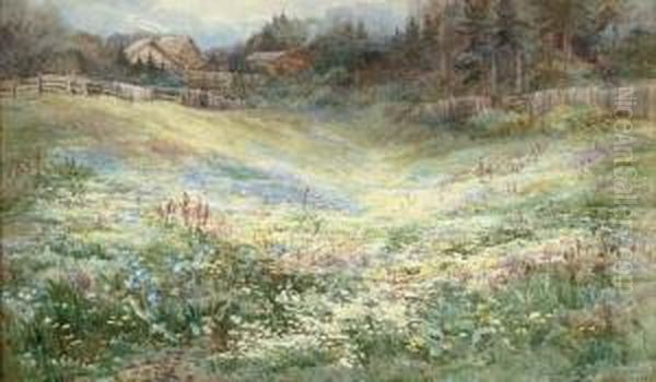 An Alpine Meadow Oil Painting by Mary Stevens