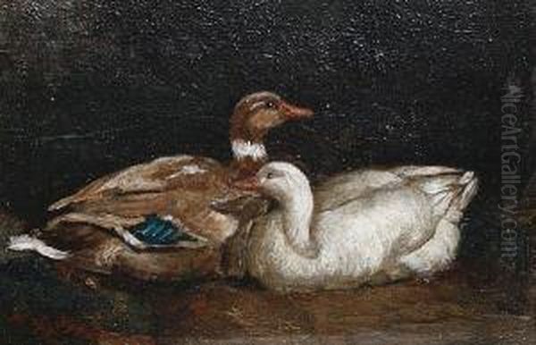 A Pair Of Ducks Oil Painting by William Grant Stevenson